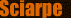 Sciarpe